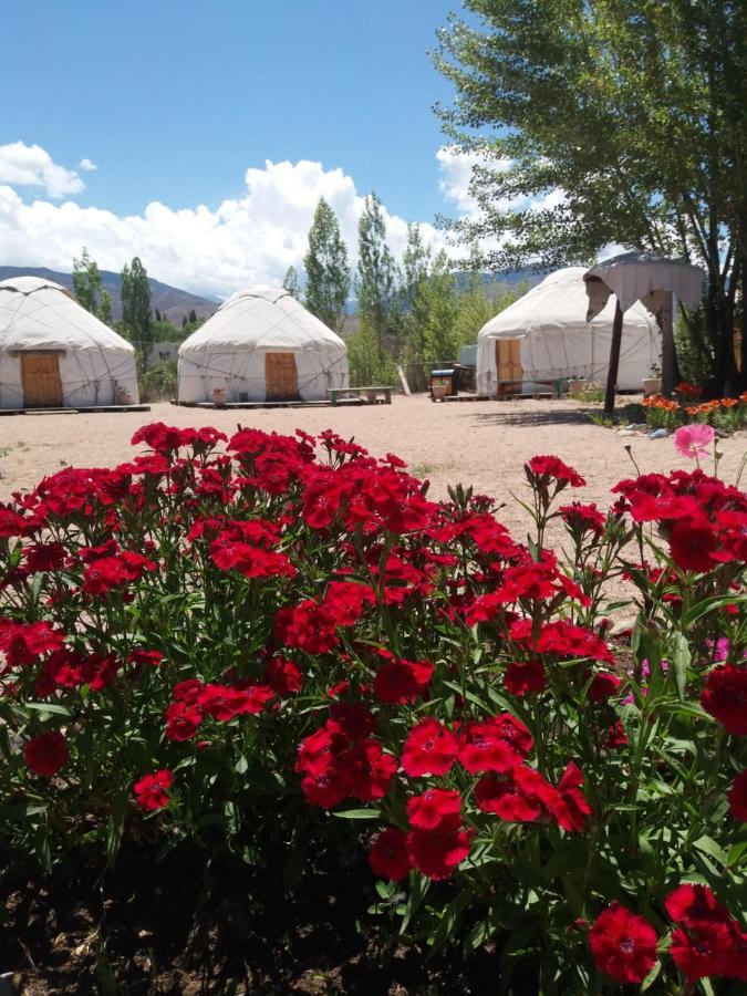 Hotel Yurt Camp Tosor Extérieur photo