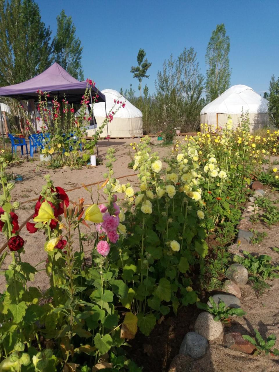 Hotel Yurt Camp Tosor Extérieur photo